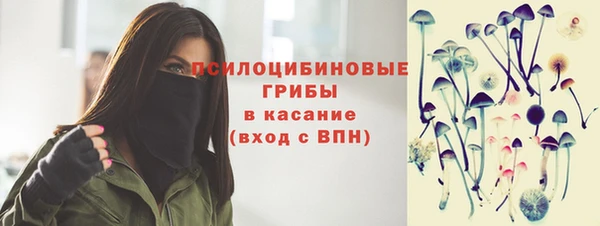гидропоника Аркадак