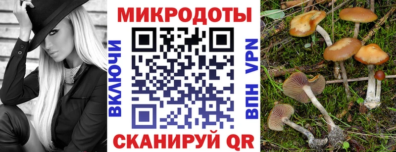 Галлюциногенные грибы MAGIC MUSHROOMS  Городец 